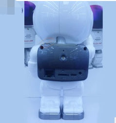 Astronaut Robot IP WiFi Camera